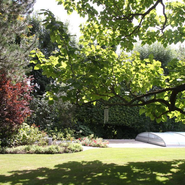 Gartengestaltung | St. Pölten