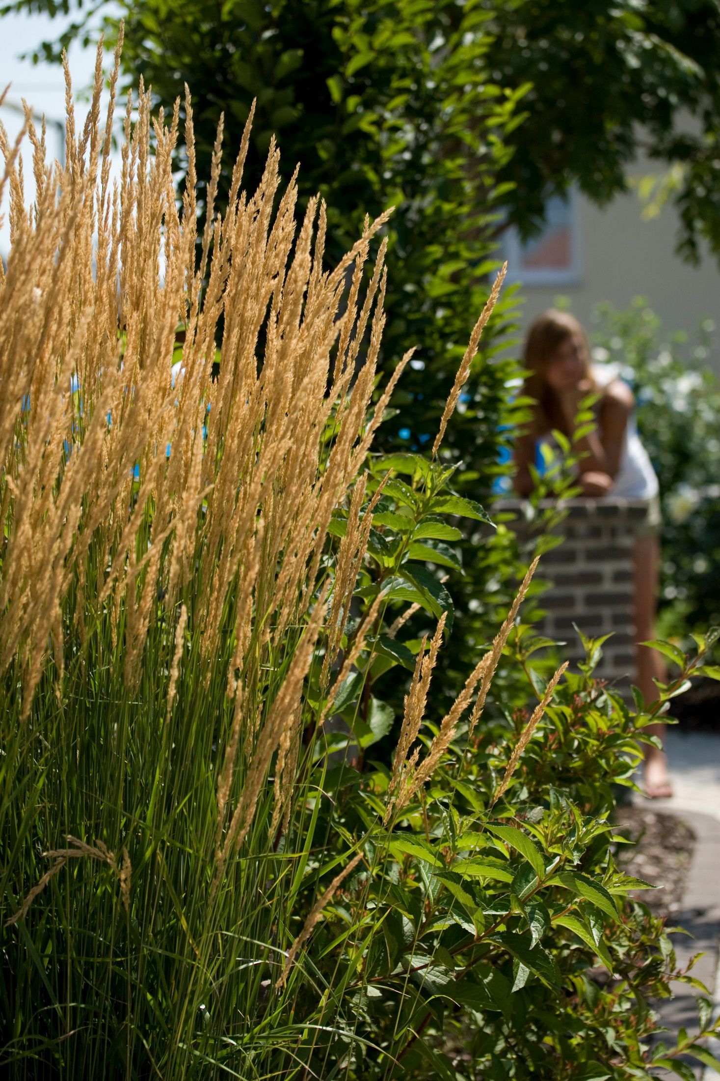 Gartengestaltung | St. Pölten
