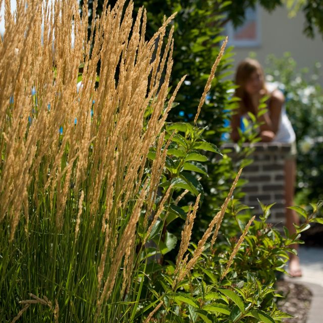 Gartengestaltung | St. Pölten