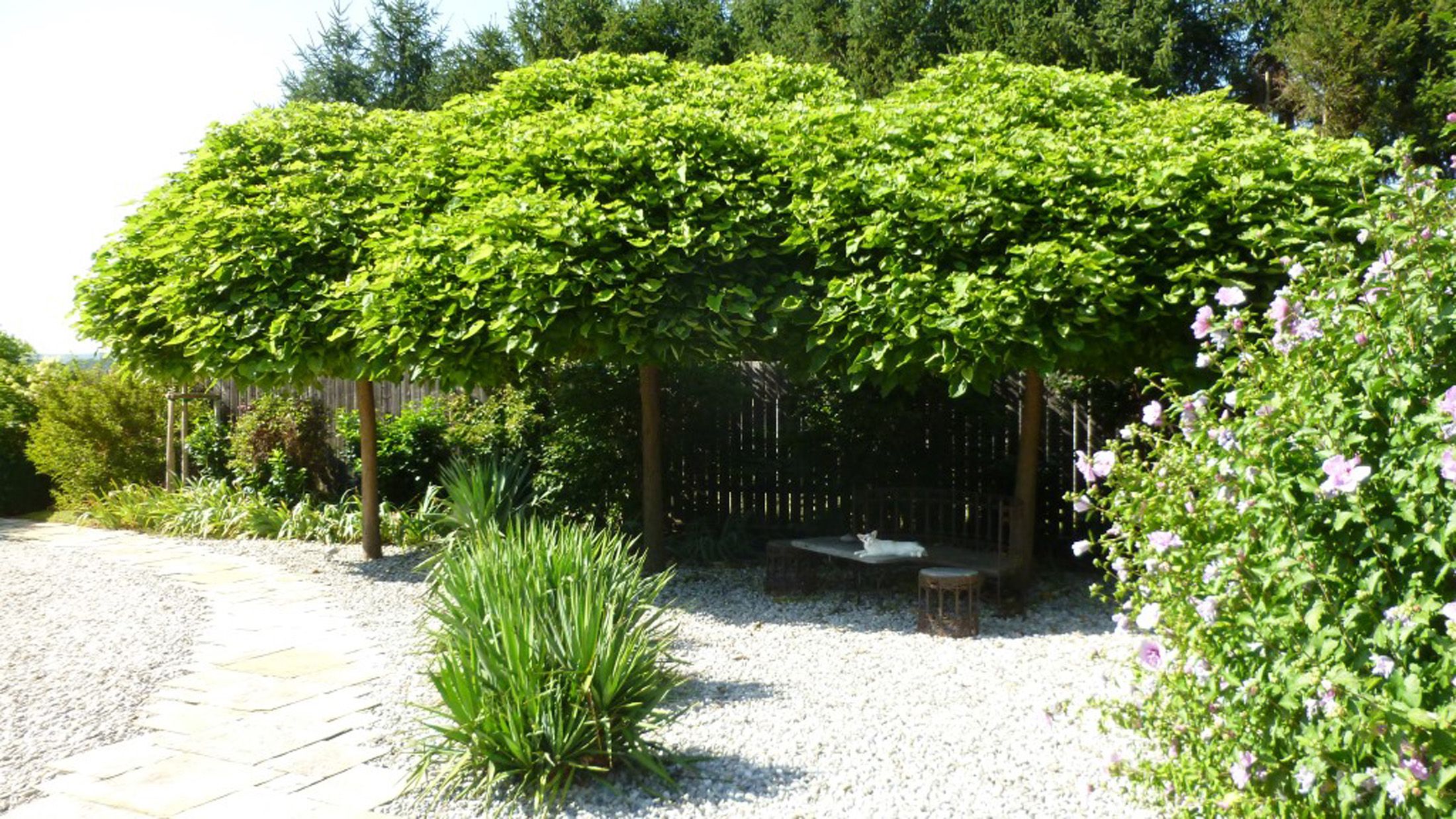 Gartengestaltung | St. Pölten