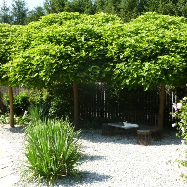Gartengestaltung | St. Pölten